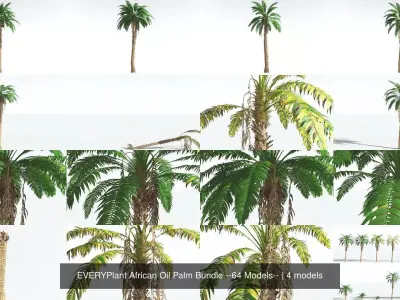 EVERYPlant African Oil Palm Bundle --64 Models-- 3D Model Collection