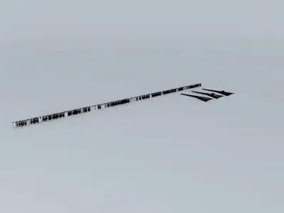 62 Military aircraft insignia to stamp into wings Free 3D model