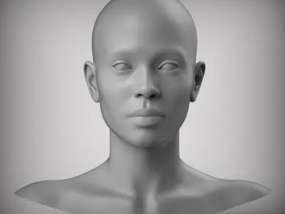 10 Realistic Female Asian American head Low-poly 3D model Low-poly 3D model