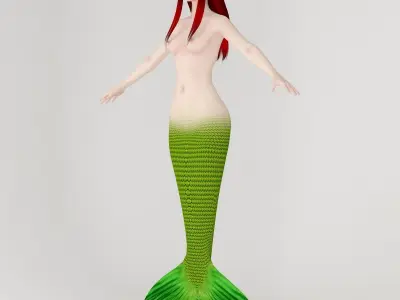  T pose nonrigged model of little mermaid and human form 3D model