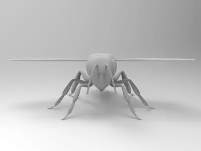 Honey Bee 3D model