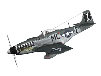 North American P-51D Mustang - Happy Jacks go Buggy 3D model
