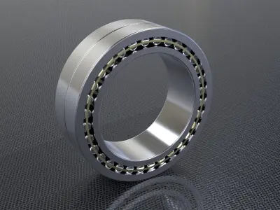 SKF Needle Roller Bearings Free 3D model