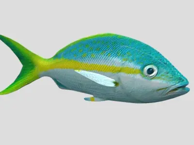 Yellow Snapper Low-poly 3D model