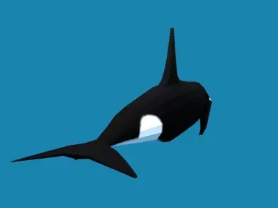 Low Poly Cartoon Orca Killer Whale Low-poly 3D model
