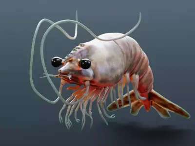 -Prawn- 3D model