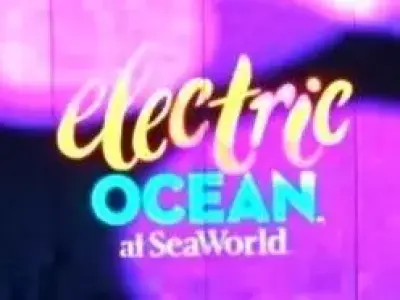 White Whale Dolphin Stadium Free 3D model