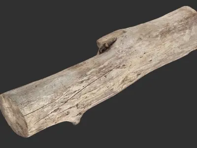 A length of wood 3d scan in highpoly 3D model