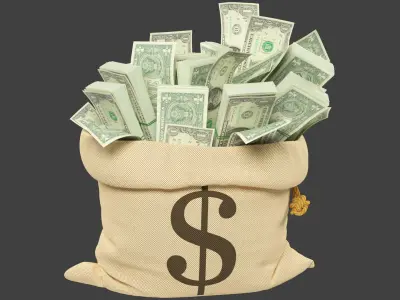 Money Bag V20 3D model