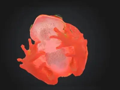 Strawberry Frog AI Cursed Animal STL OBJ 3D model
