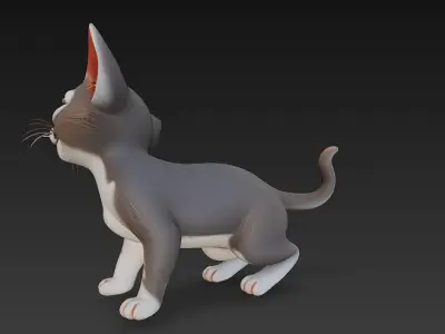 Cat Realistic 3D Model Basic - Low Poly Realistic Low-poly 3D model