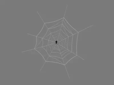 Web And Spider 3D model