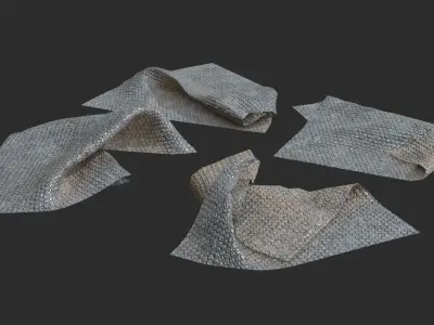 Plastic Bubble Wraps Low-poly 3D model