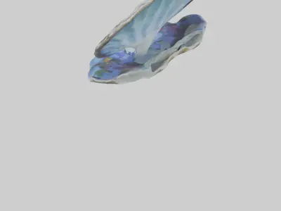 Giant Clam resting on reef model Low-poly 3D model