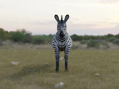 Zebra donkey Low-poly 3D model