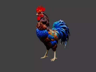 Cockerel Chicken Low-poly 3D model