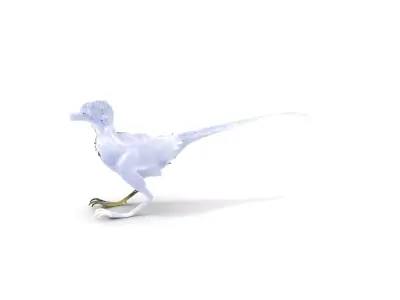Feathered Dinosaur model pack Low-poly 3D model