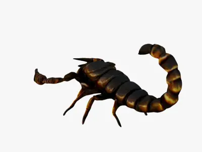 Scorpion Free 3D model
