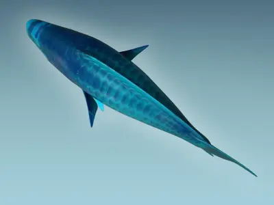 Parrotfish parrot fish 3D model