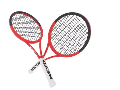 Tennis Racquet Free low-poly 3D model