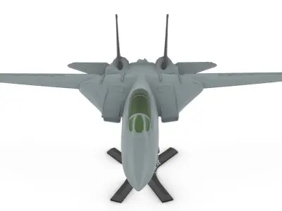 F-14 Tomcat wing movable 3D print model