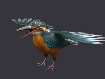 hummingbird humming bird kolibri animal tiny 3D model