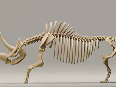 Relistic Mammals Fossil - Woolly Rhino Low-poly 3D model