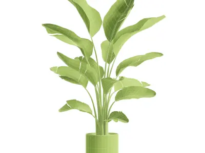 Indoor Plants Pack 86 3D model