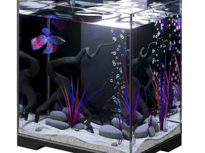 Aquarium with Siamese fighting fish 3D model