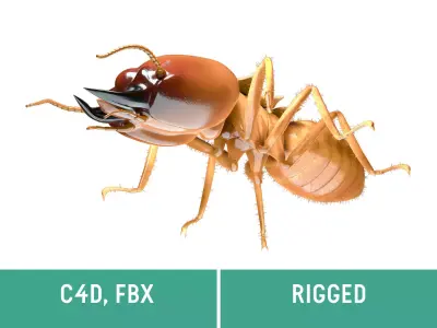 Termite - Soldier Low-poly 3D model