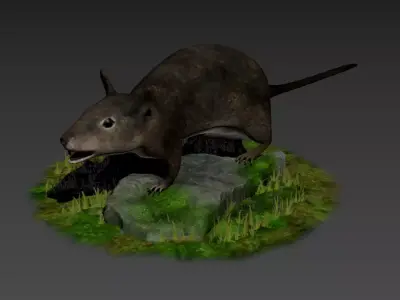 rats rat roddents mammals animal mouse cute pet fur lab 3D model