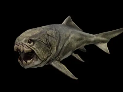 Dunkleosteus Prehistoric Fish Low-poly 3D model