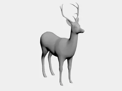 Deer-wild animals 3D model