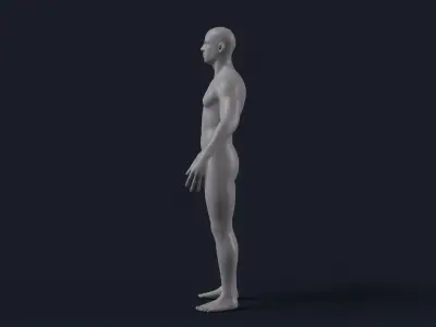 Male Base Mesh Realistic Low-poly 3D model