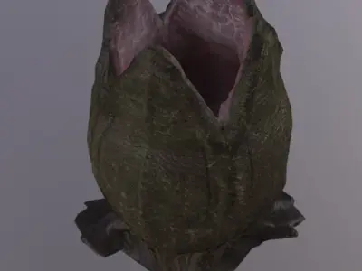 Alien Egg Rigged Low-poly 3D model