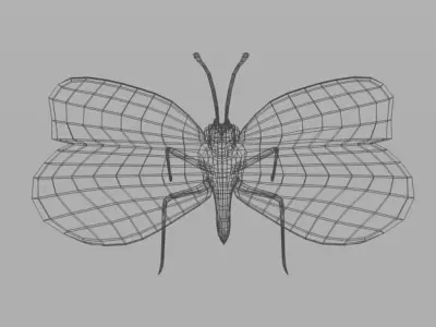 Butterfly 89 Low-poly 3D model