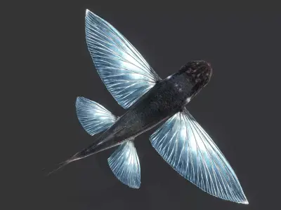 Realistic Flying Fish Animated 3D model