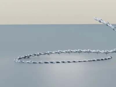 Barbed Wire 3D model