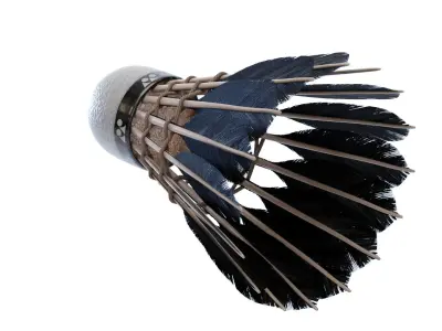 Shuttlecock feather headdress 3D model