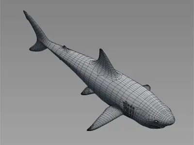White Shark Low-poly 3D model