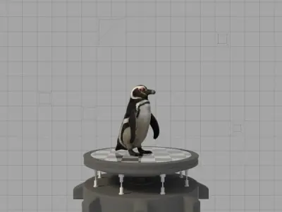 Magellanic Penguin Low-poly 3D model