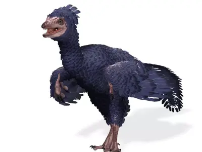 BIRD RIGGED PREHISTORIC BIRD Low-poly 3D model