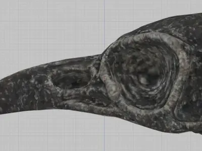 Crystal Skull - The Witcher 3 Wild Hunt Free low-poly 3D model