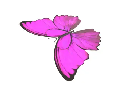 Butterfly v1 003 Low-poly 3D model