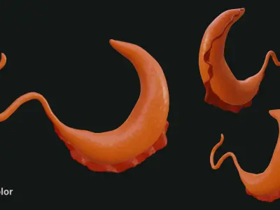 African Trypanosomiasis Sleeping Sickness Low-poly 3D model