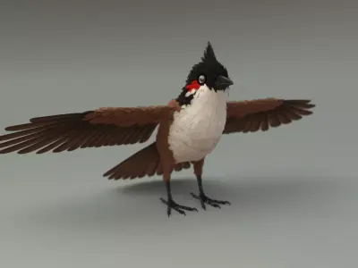 Bird bird sparrows binding model 3D model