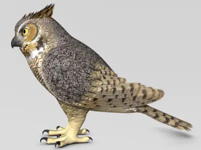 Great Horned Owl - Folded Wings 3D model