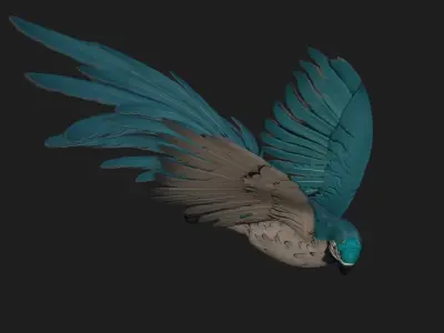 Parrot A12 3D model