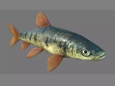 Fish 3D model 001 Low-poly 3D model