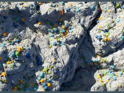 Starfish Variety Pack 1 Low-poly 3D model